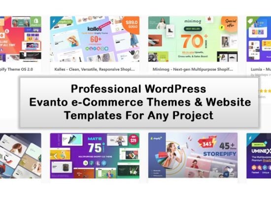 fastest woocommerce them-fm